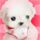 Muara Tewehland slotaplikasi togel online24jam terpercaya 2020 Mantan Morning Musume